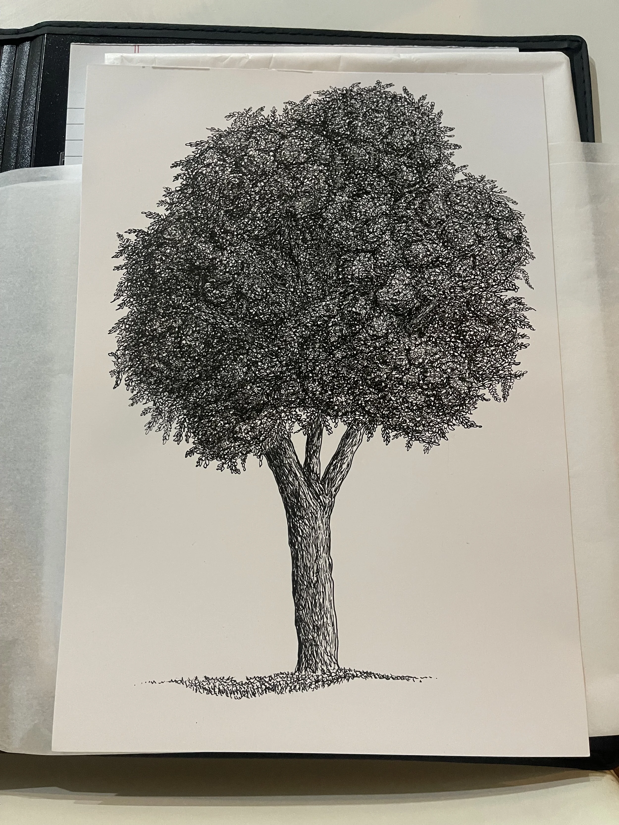 Pooh Tree