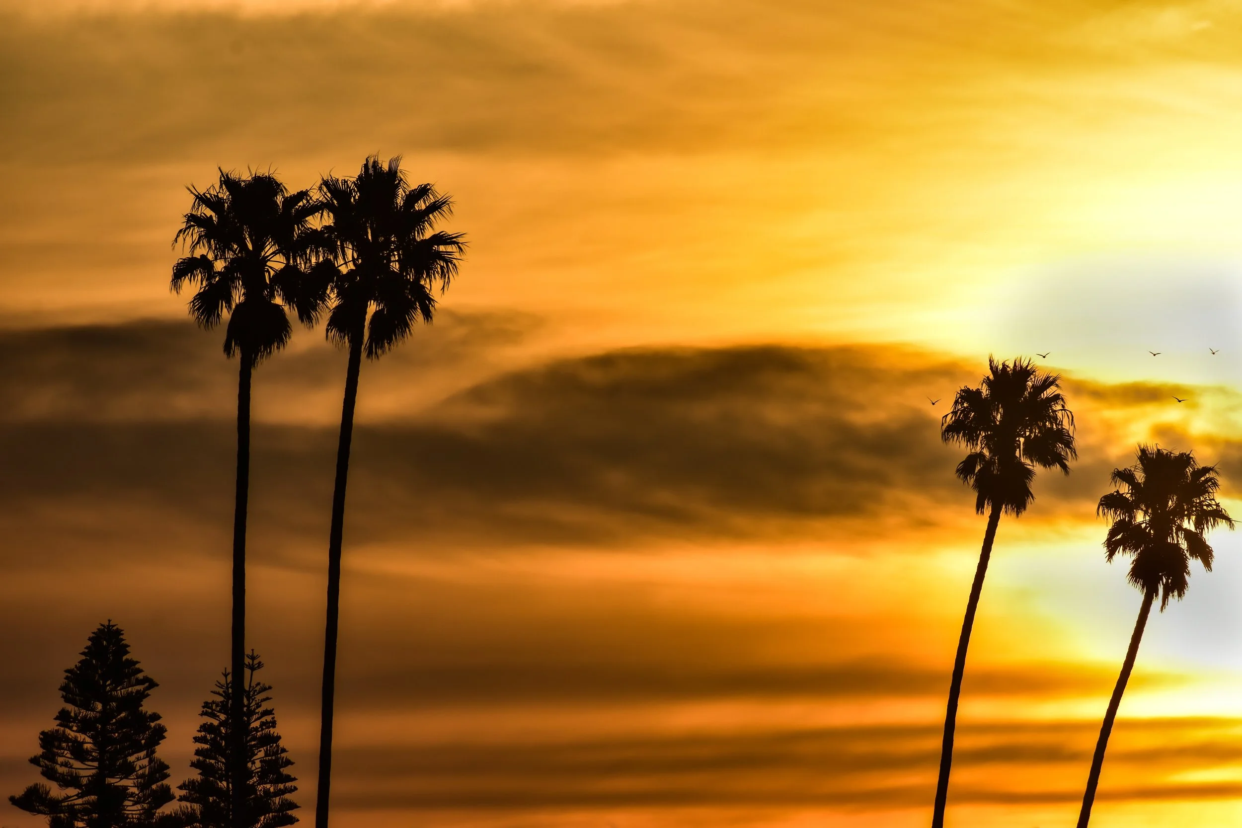 Ivan Baxarias, Sunrise Rhythm