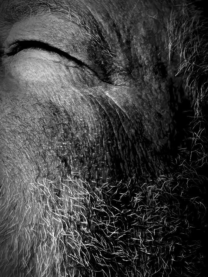 Jeff Heyman, "My Eye"