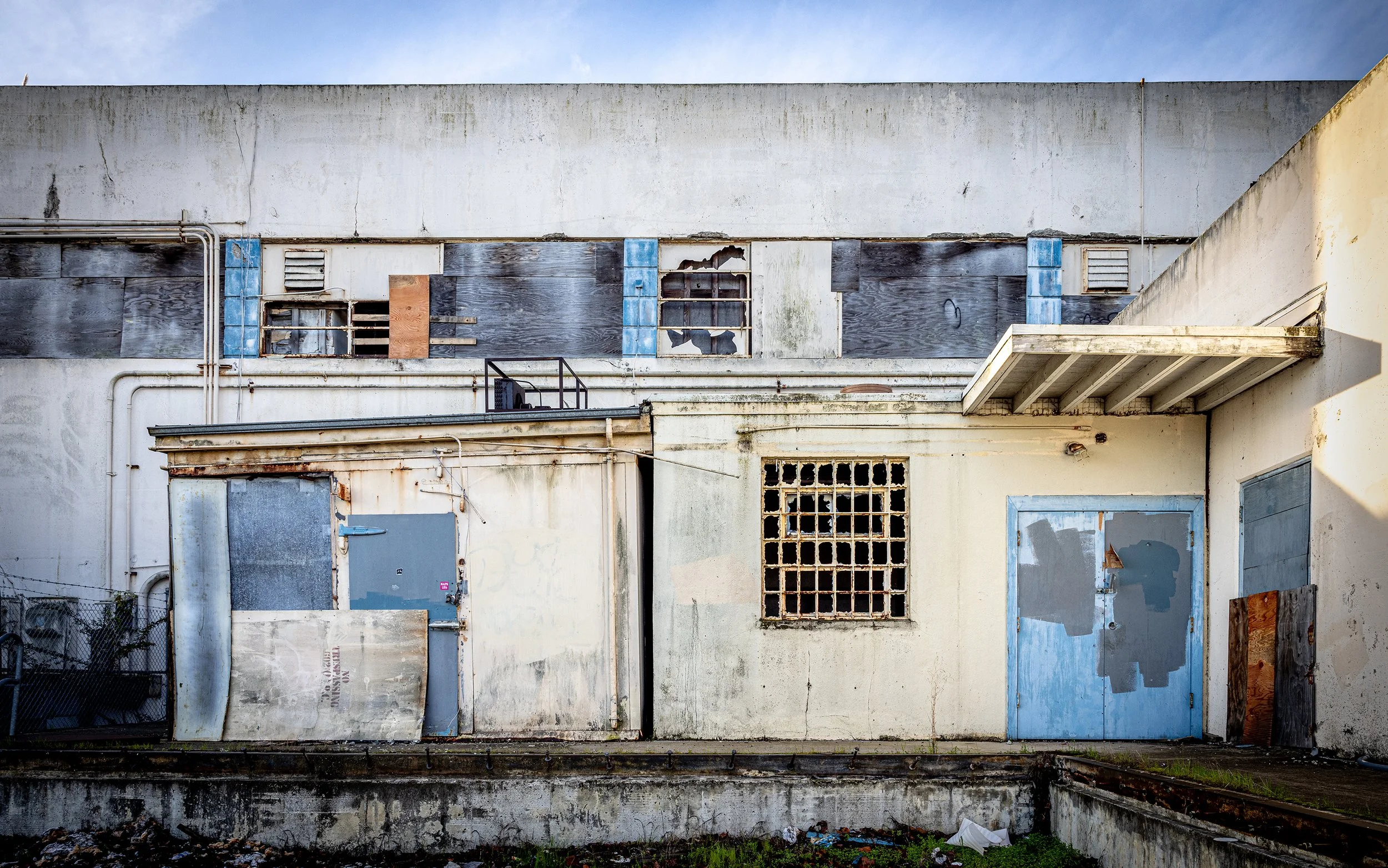 Roxanne Gray, Hues of Abandonment