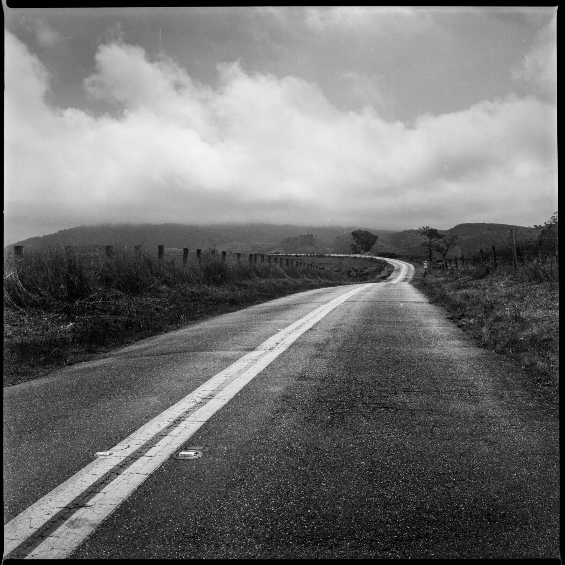Rob Hamner, Loney Pierce Point Road, Yashica Mat 124G, Kodak TMax