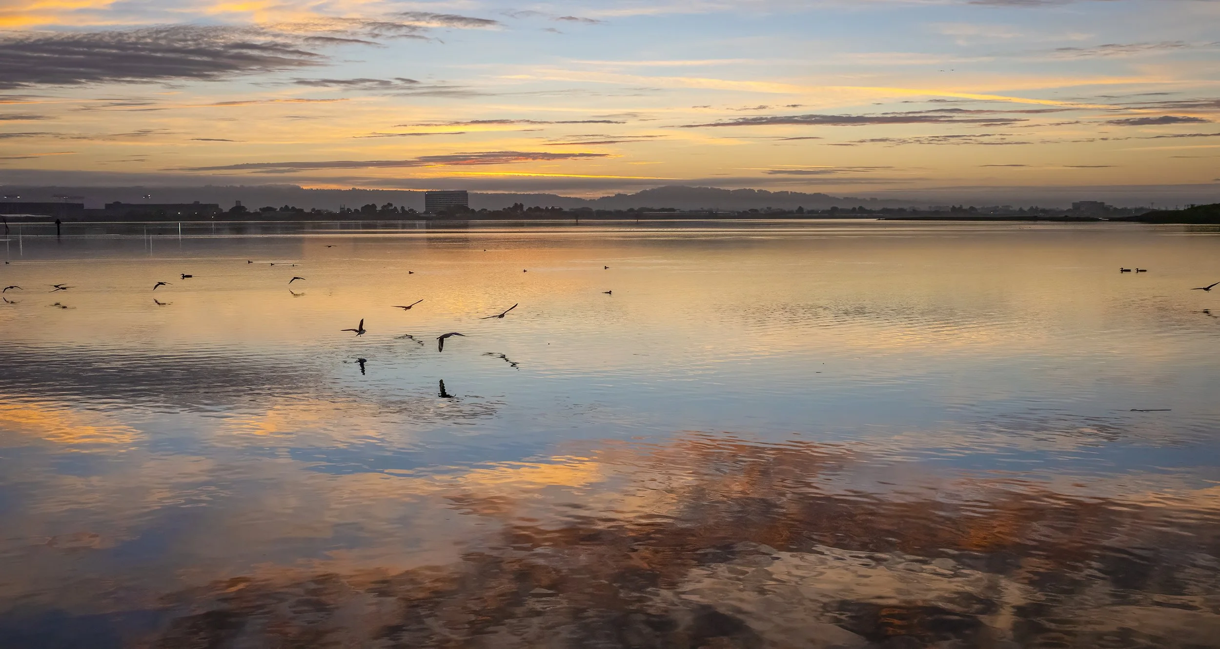 Petra Liljestrand, Sunrise over San Leandro Bay