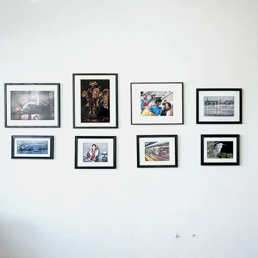 APS Annual Member Exhibition 2025