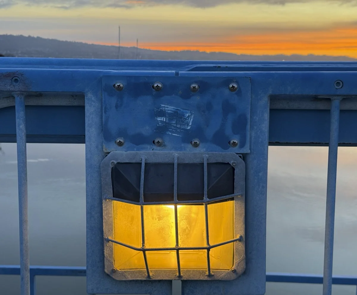 Susan Hillyard, Let There Be Light