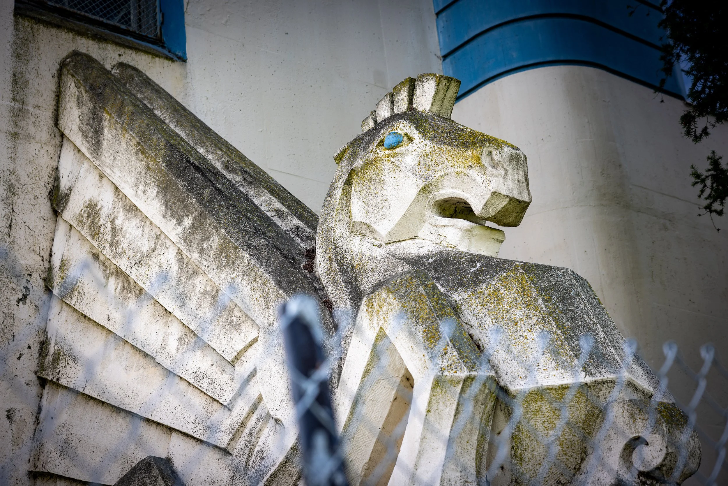 Roxanne Gray, Winged Guardian