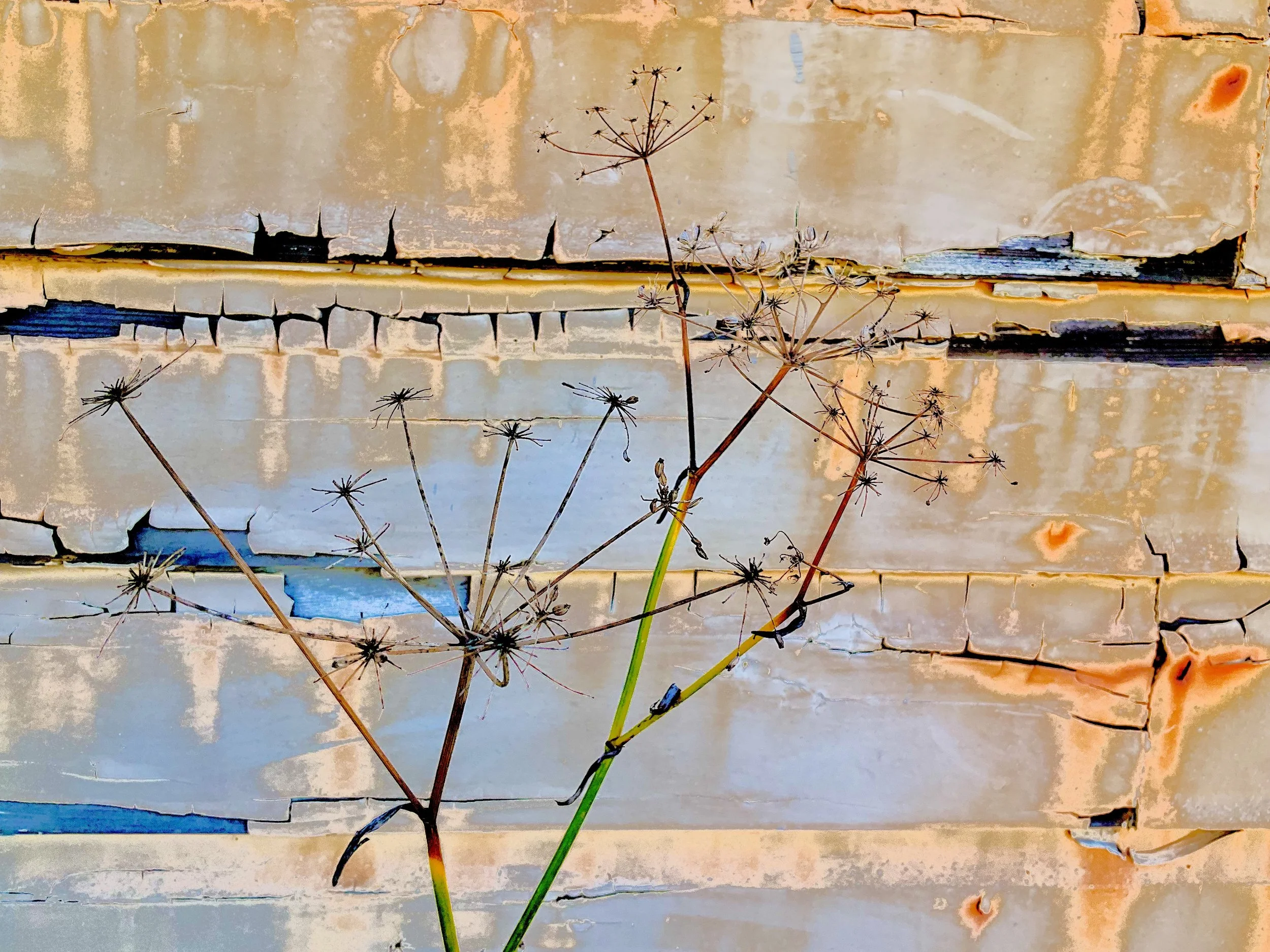 Lindy Johnson, Warehouse Monet