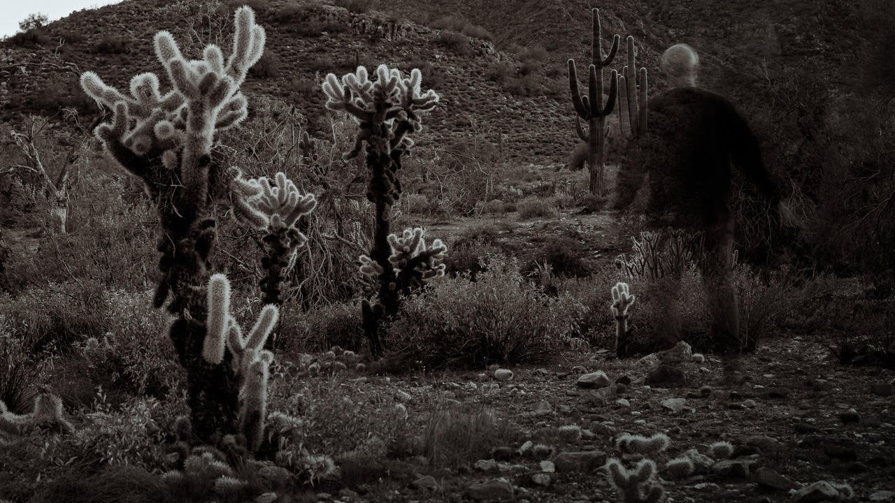 Scott Leon, Prickly, Challenge Lab 02: Self Fragmented