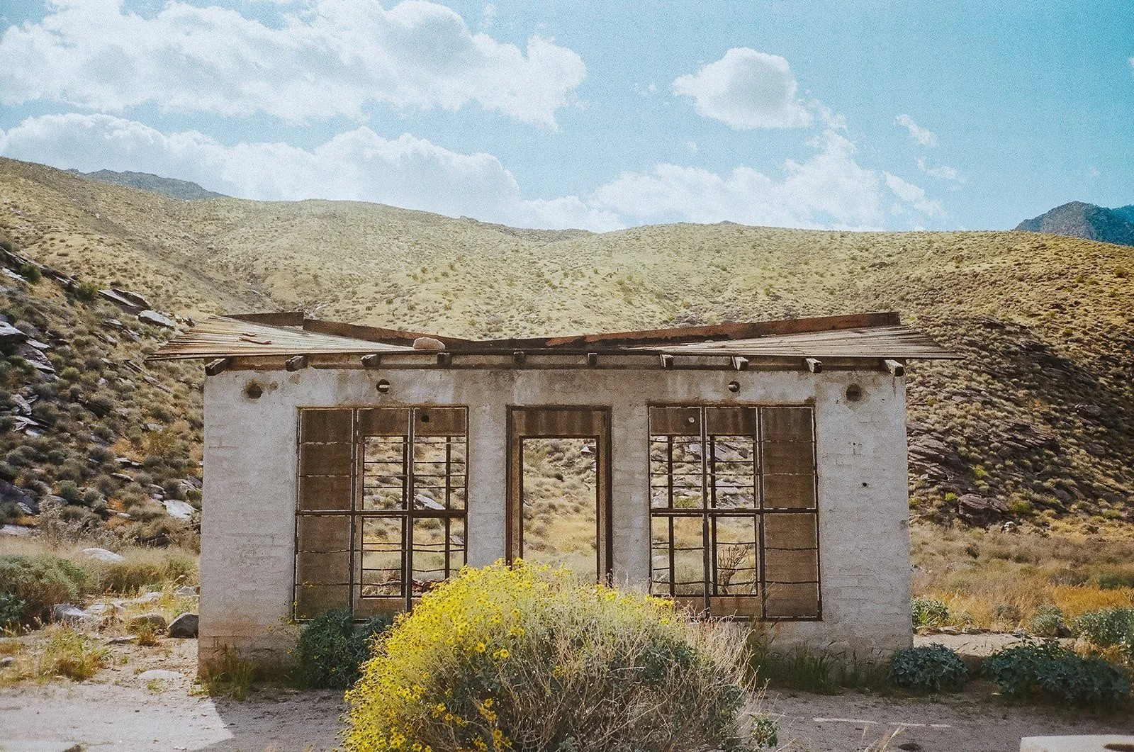Laura Jaeger, Palm Canyon,
Nikon FM3A, Kodak Portra 400