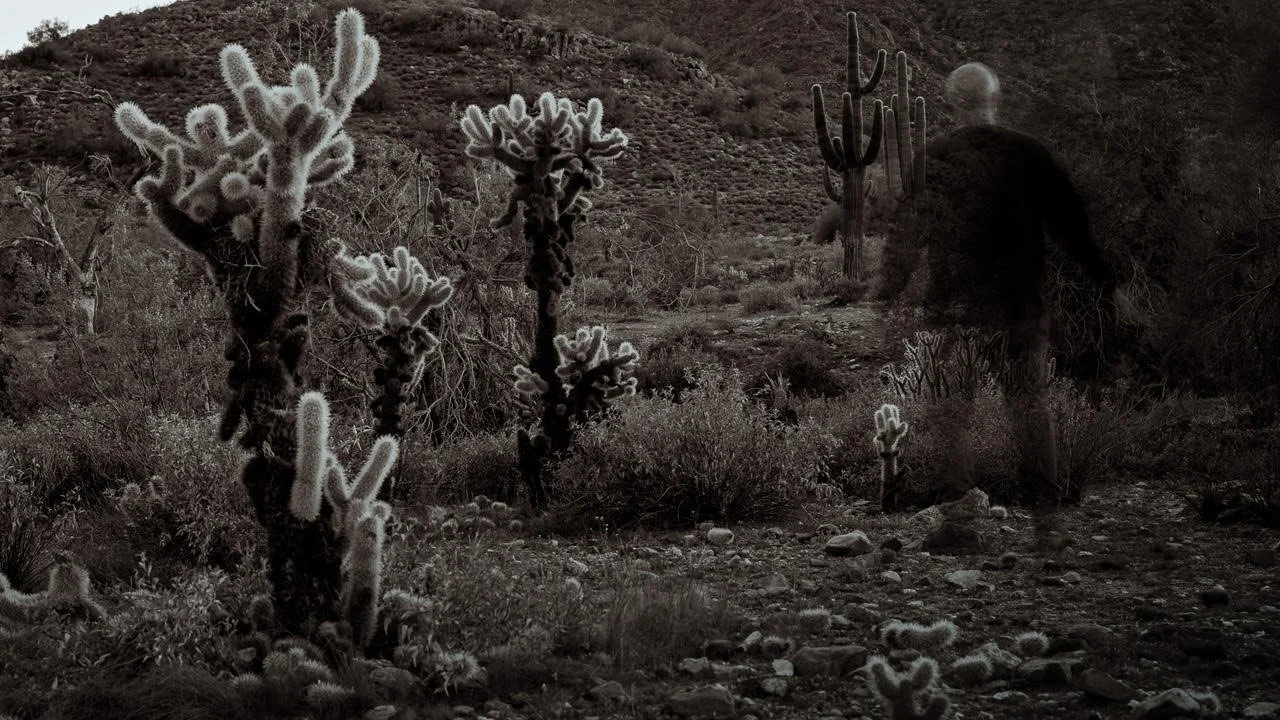 Scott Leon, "Prickly" 