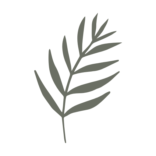 Gray leaf illustration on black background.