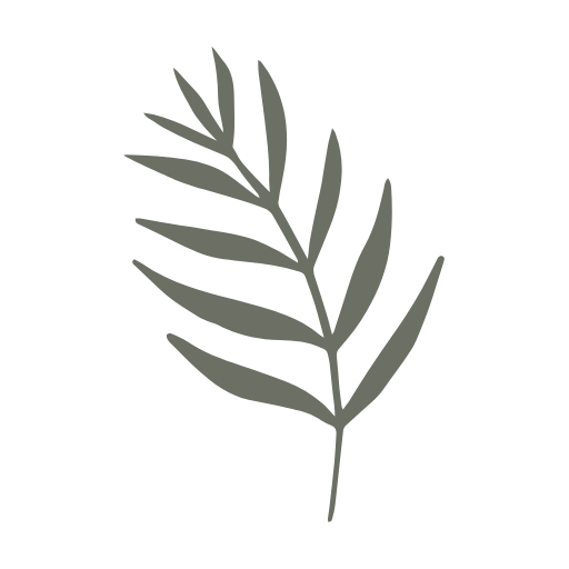 Gray silhouette of a fern leaf against a black background.