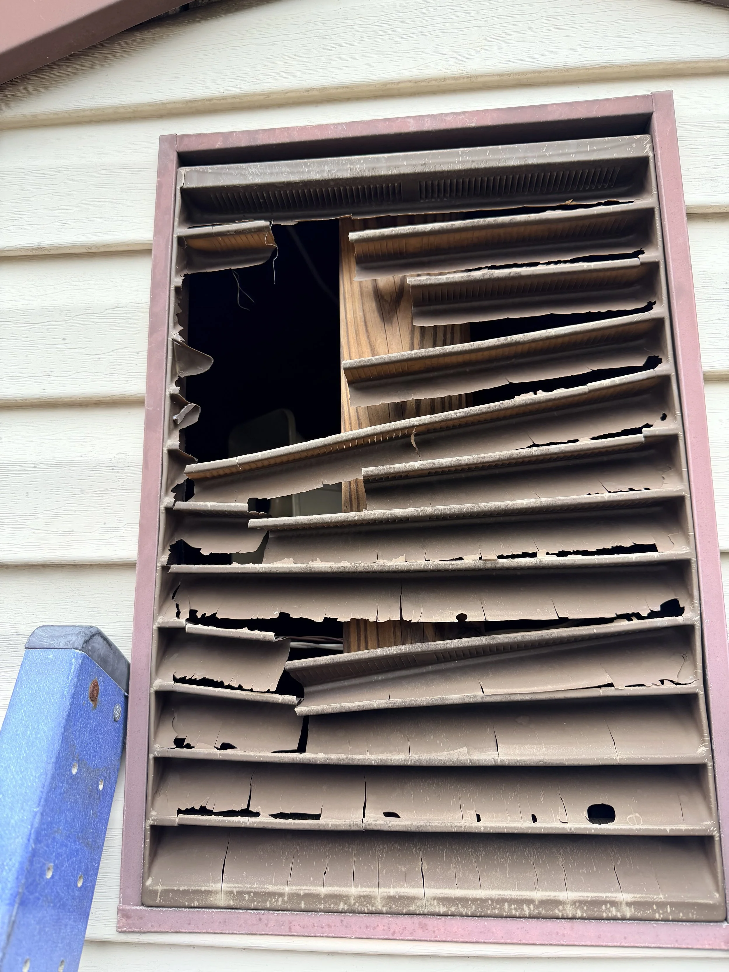 Wildlife home inspection Long island vent damage repair Suffolk County
