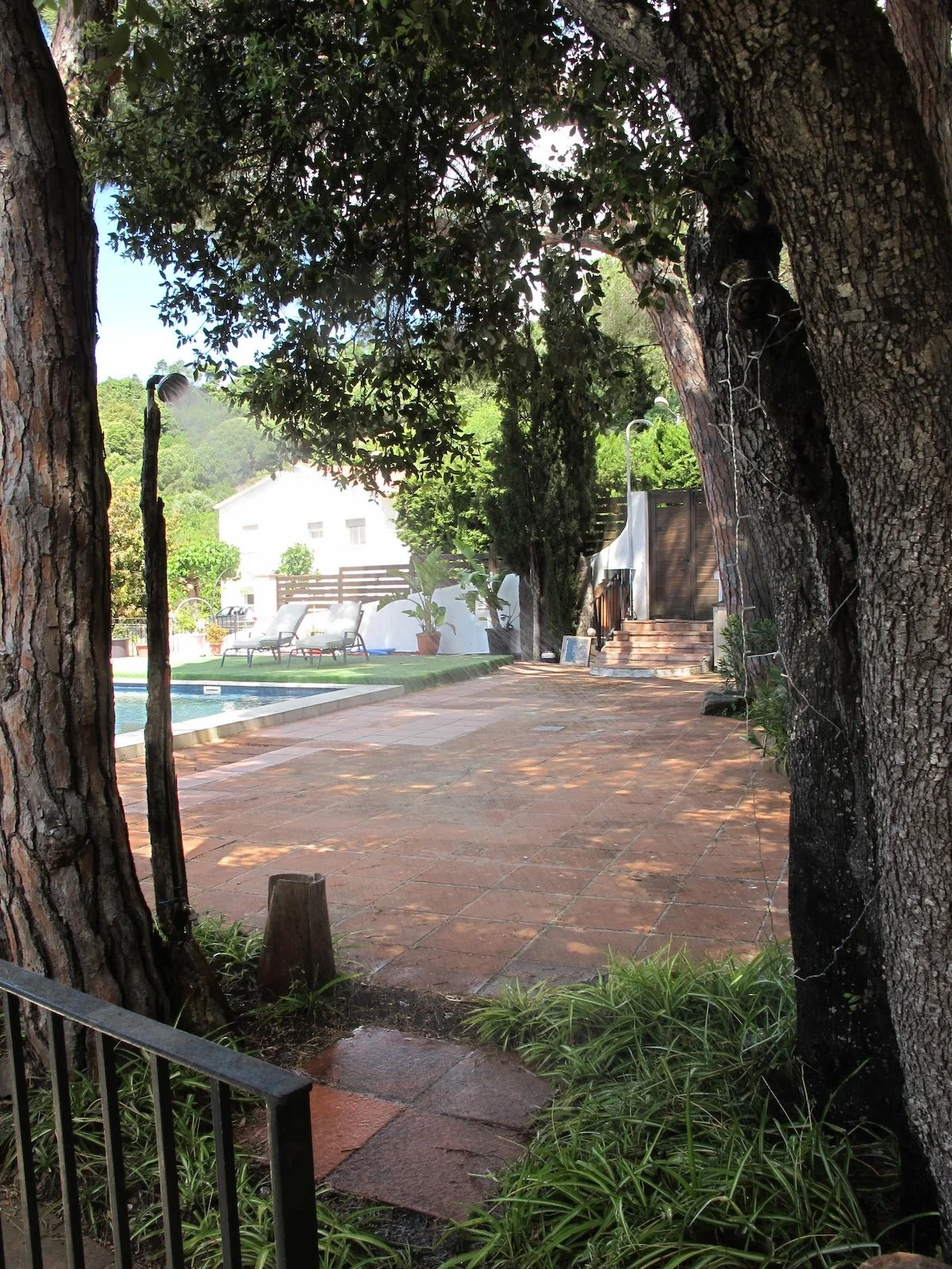 A backyard with large trees, a swimming pool, patio area with lounge chairs, potted plants, and a white house in the background.