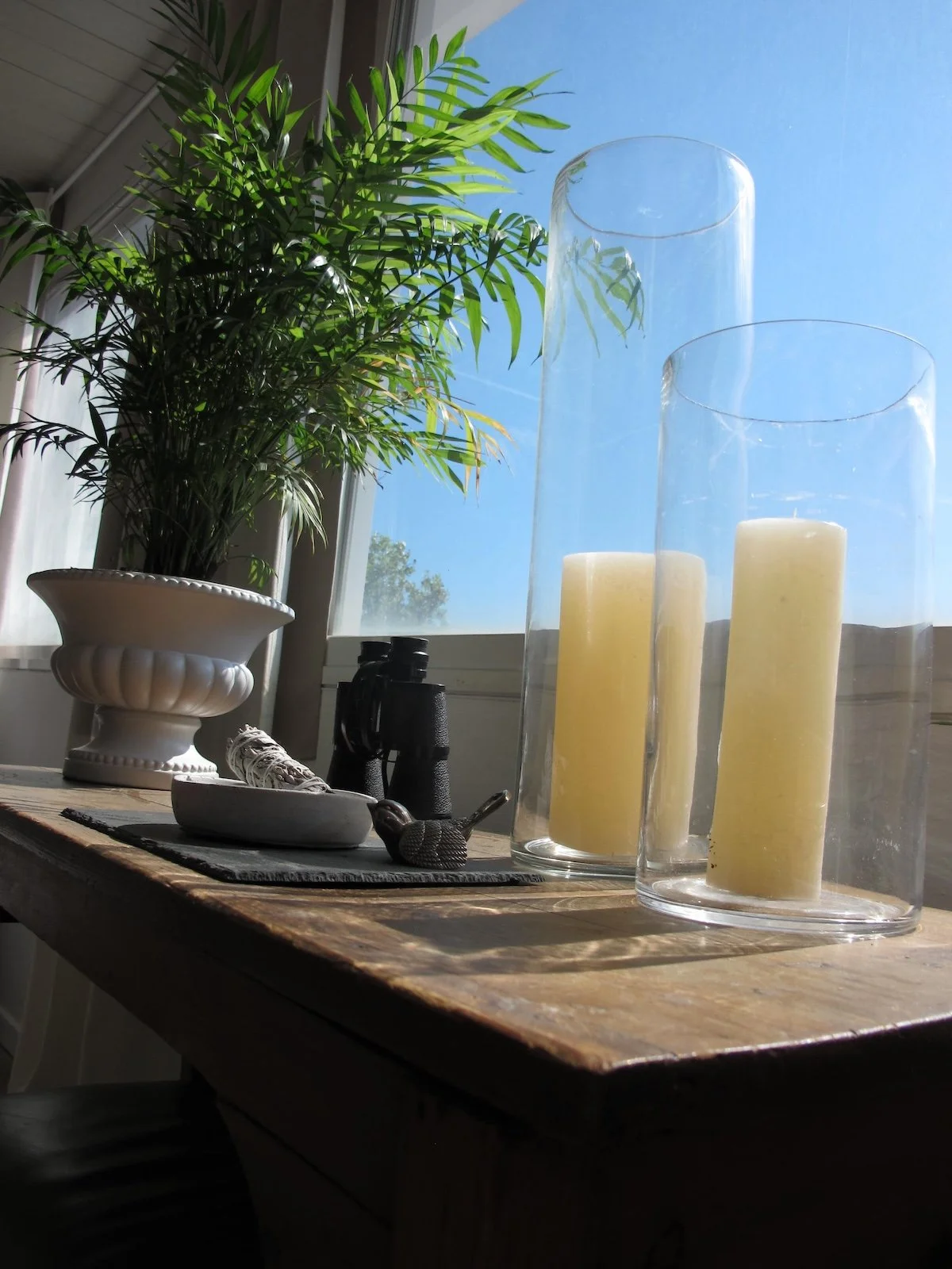 A window sill decorated with a potted green plant, two large glass candle holders with yellow candles, and black binoculars. The window allows sunlight to cast shadows on the wooden surface.