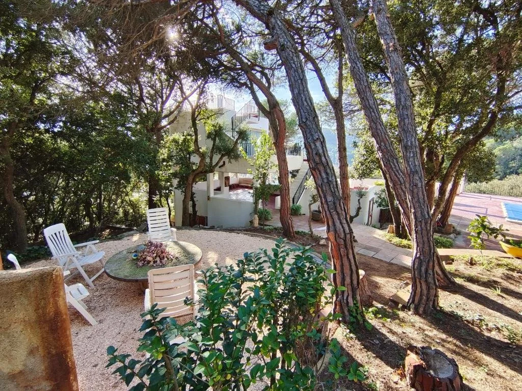 A backyard patio area with a gravel surface, white outdoor chairs around a round table with flowers, tall trees providing shade, a house in the background, and a swimming pool nearby.