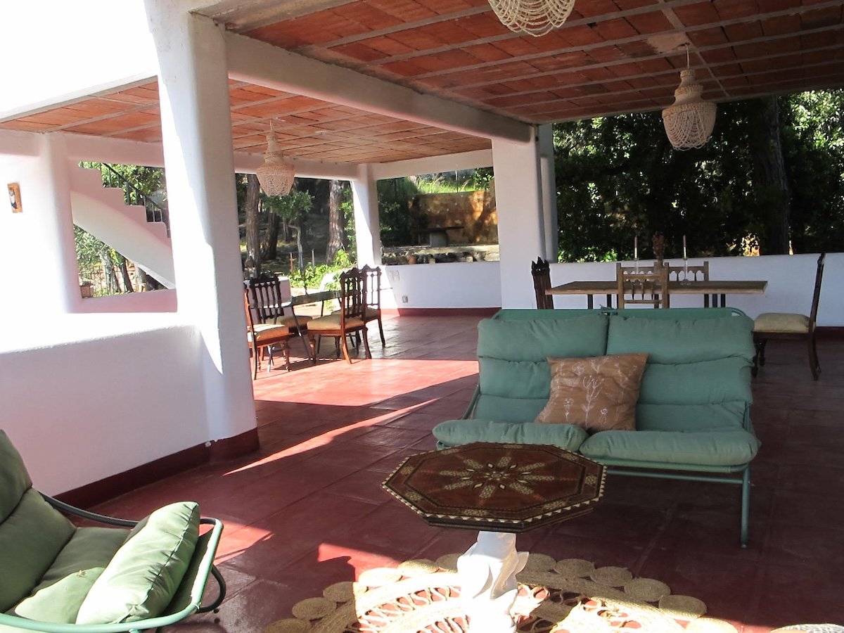 Covered outdoor patio with green cushioned seating, a wooden table, and chairs, surrounded by trees and greenery.