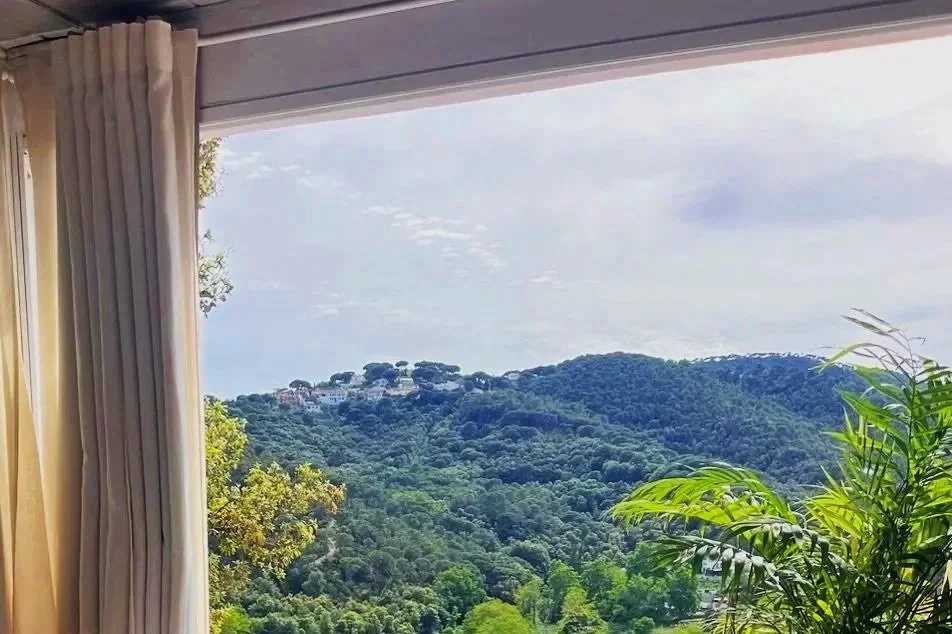 View of green, tree-covered hills through a window with beige curtains and a potted plant in the corner.