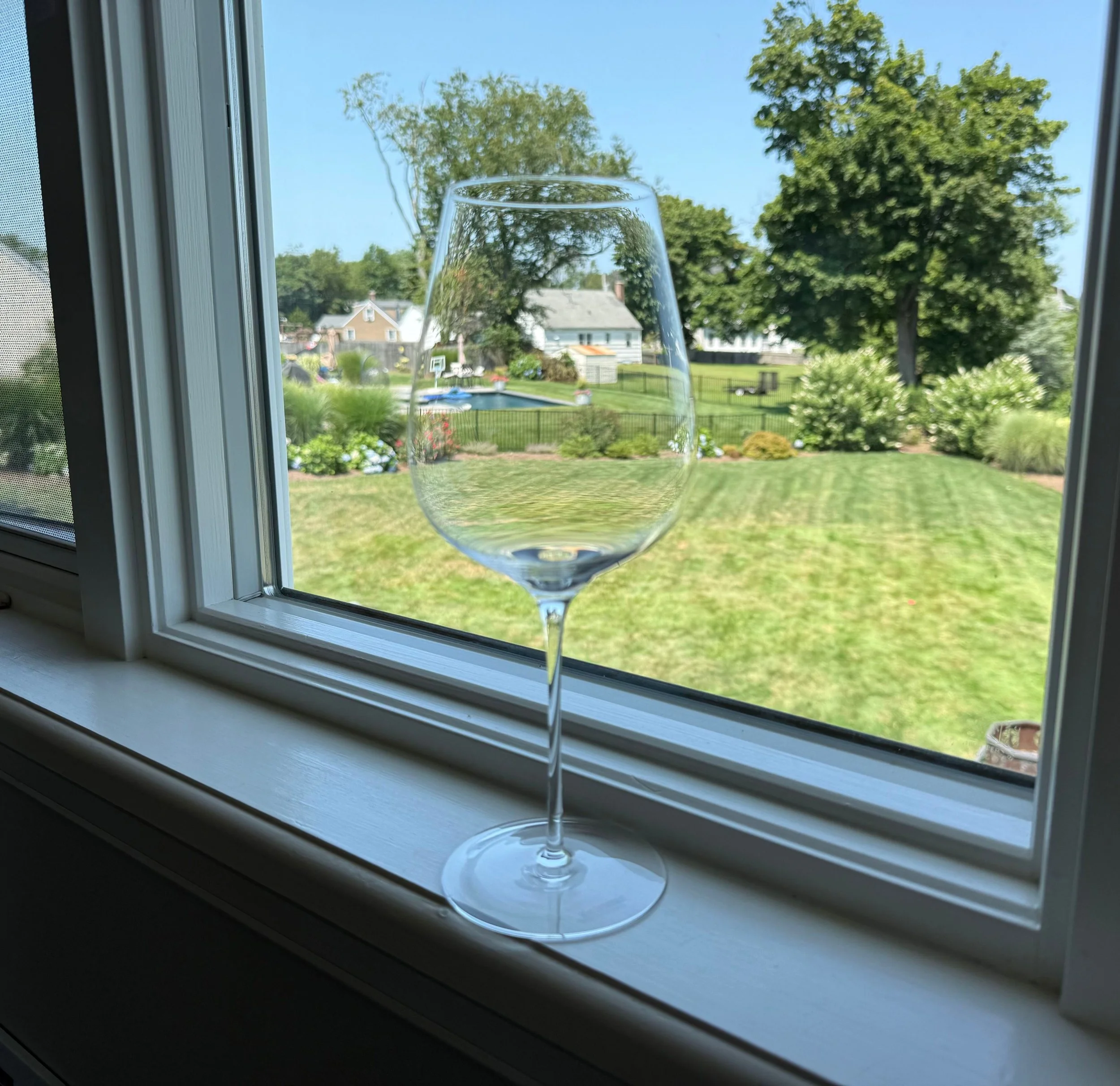 Wine Enthusiast 30 oz Wine Glass