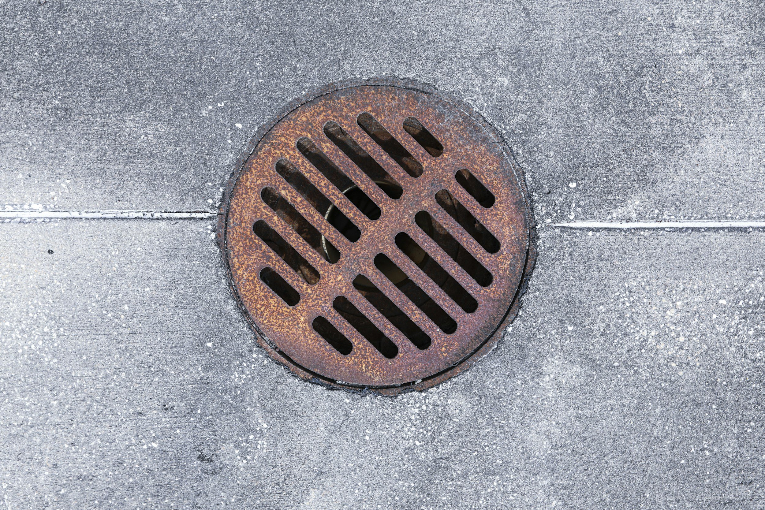 How To Keep Your Drains Clear All Year 