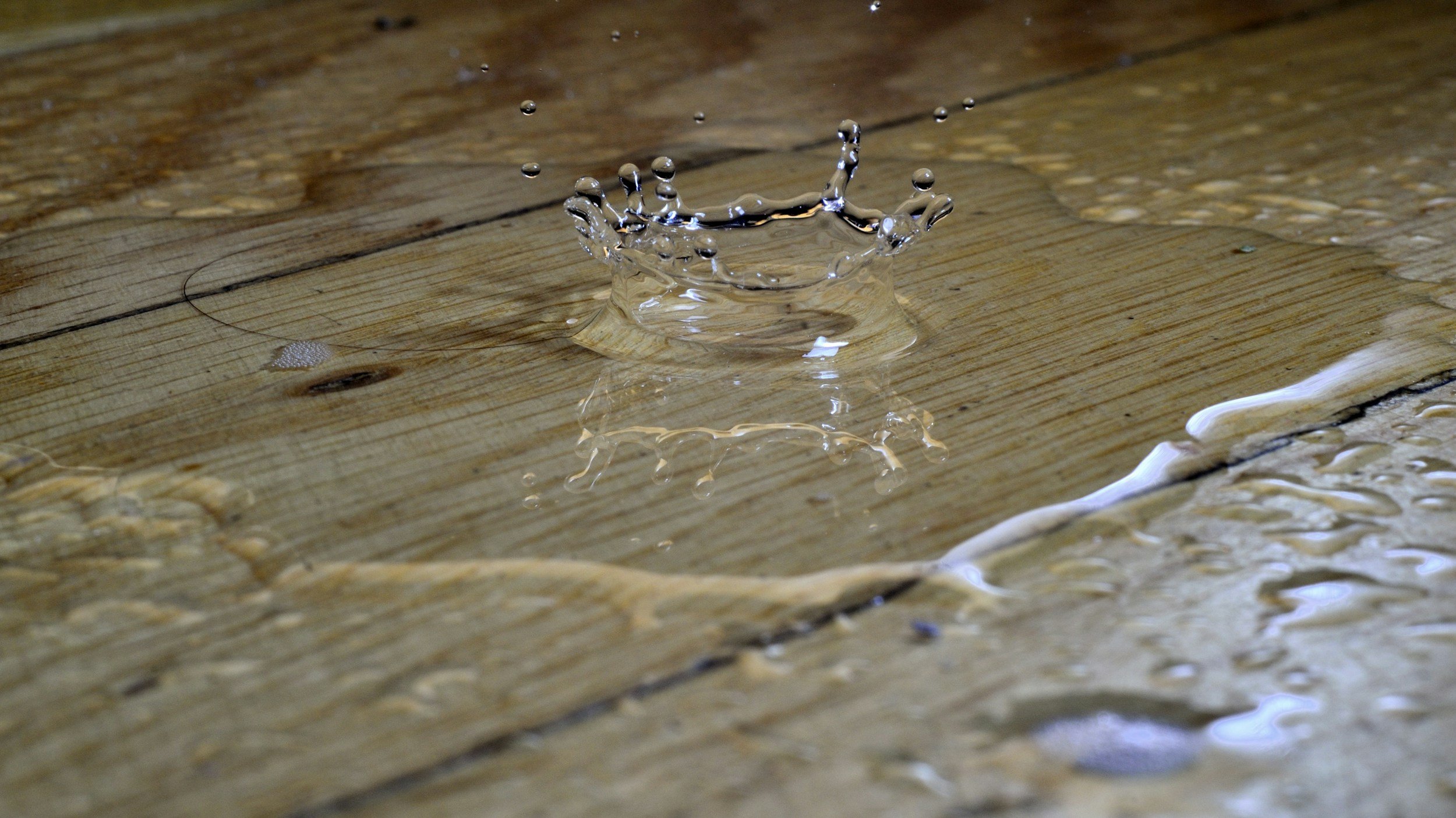 How To Find A Hidden Water Leak In Your Home
