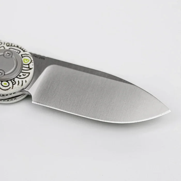 Corgiv-A3727__9.webp (Copy)