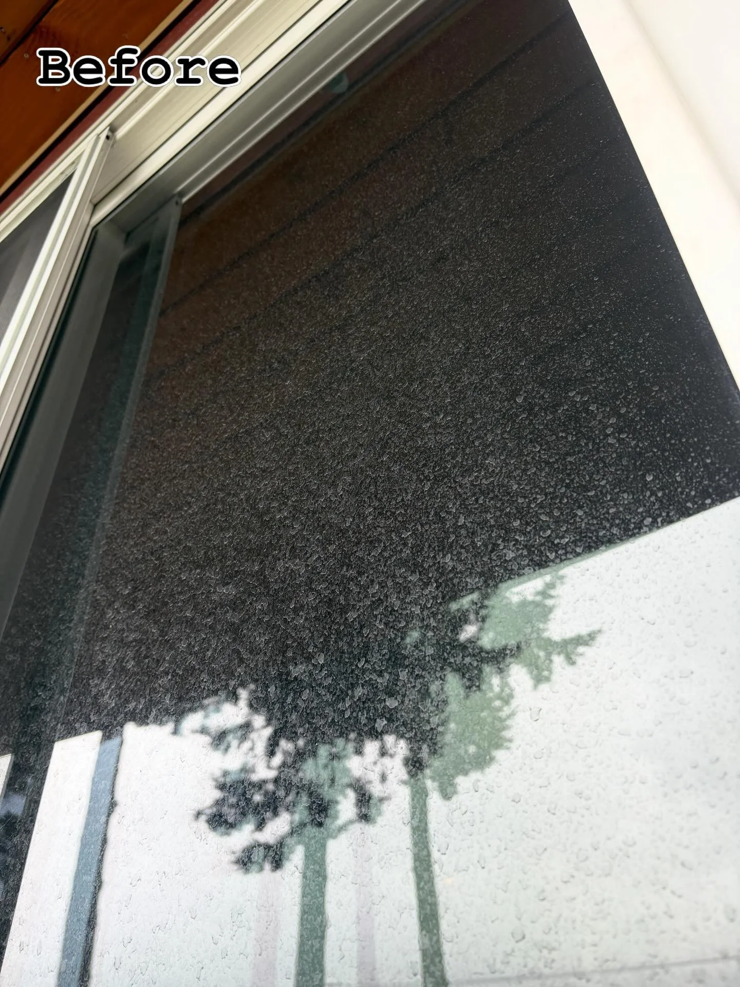 🧼✨Your neighbors already love us&hellip;
📩Get a free quote fast in bio!

#windowcleaning #satisfying #bellinghamrealestate #pressurewashing #clean