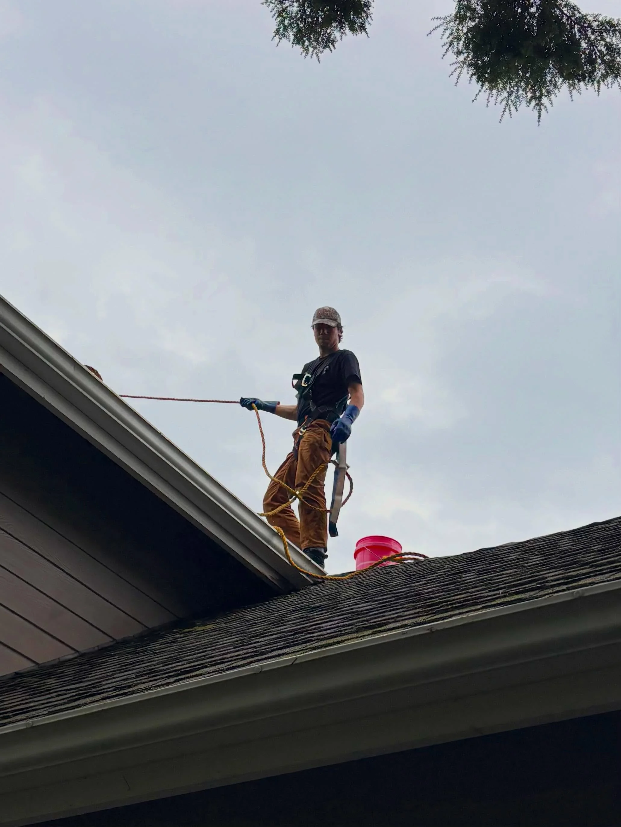 ✨ Behind every clean home and happy customer is a team that shows up early, works hard, and takes pride in every job. Super grateful for this amazing crew and everything we&rsquo;ve built so far!

📩 Keep your property looking its best, get a free qu
