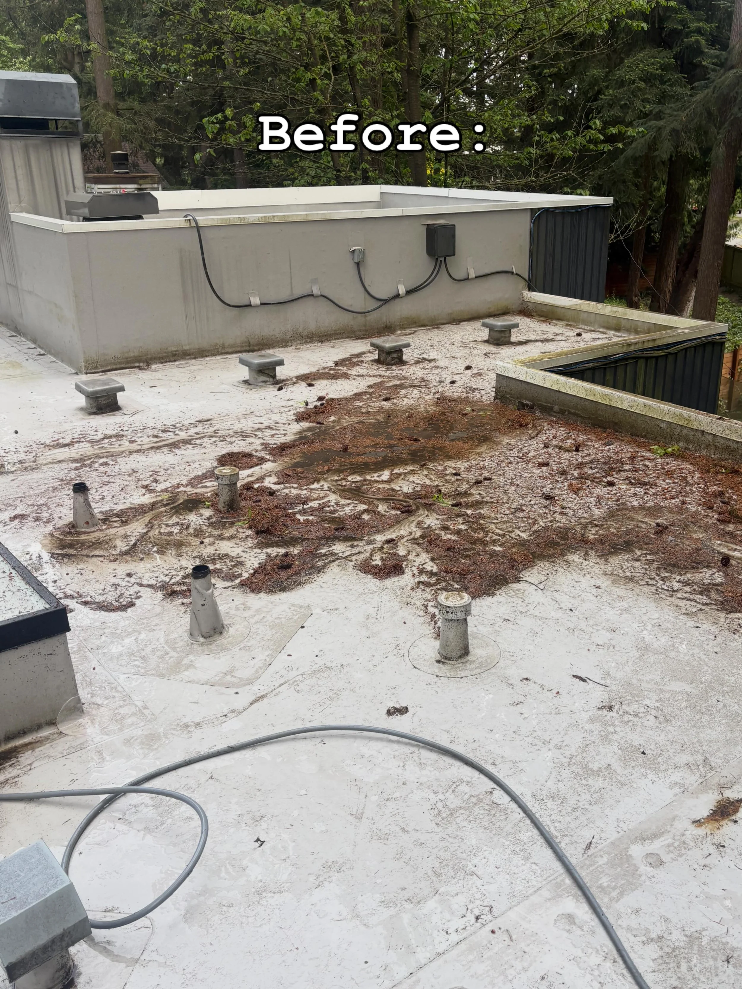 ✨From black streaks to bright white ✨

🧼 This cleaning completely transformed the look of this pvc roof&hellip;

‼️Our soft-wash techniques eliminate algae, grime, and organic buildup without damaging the roof membrane

📩 Transform your property to