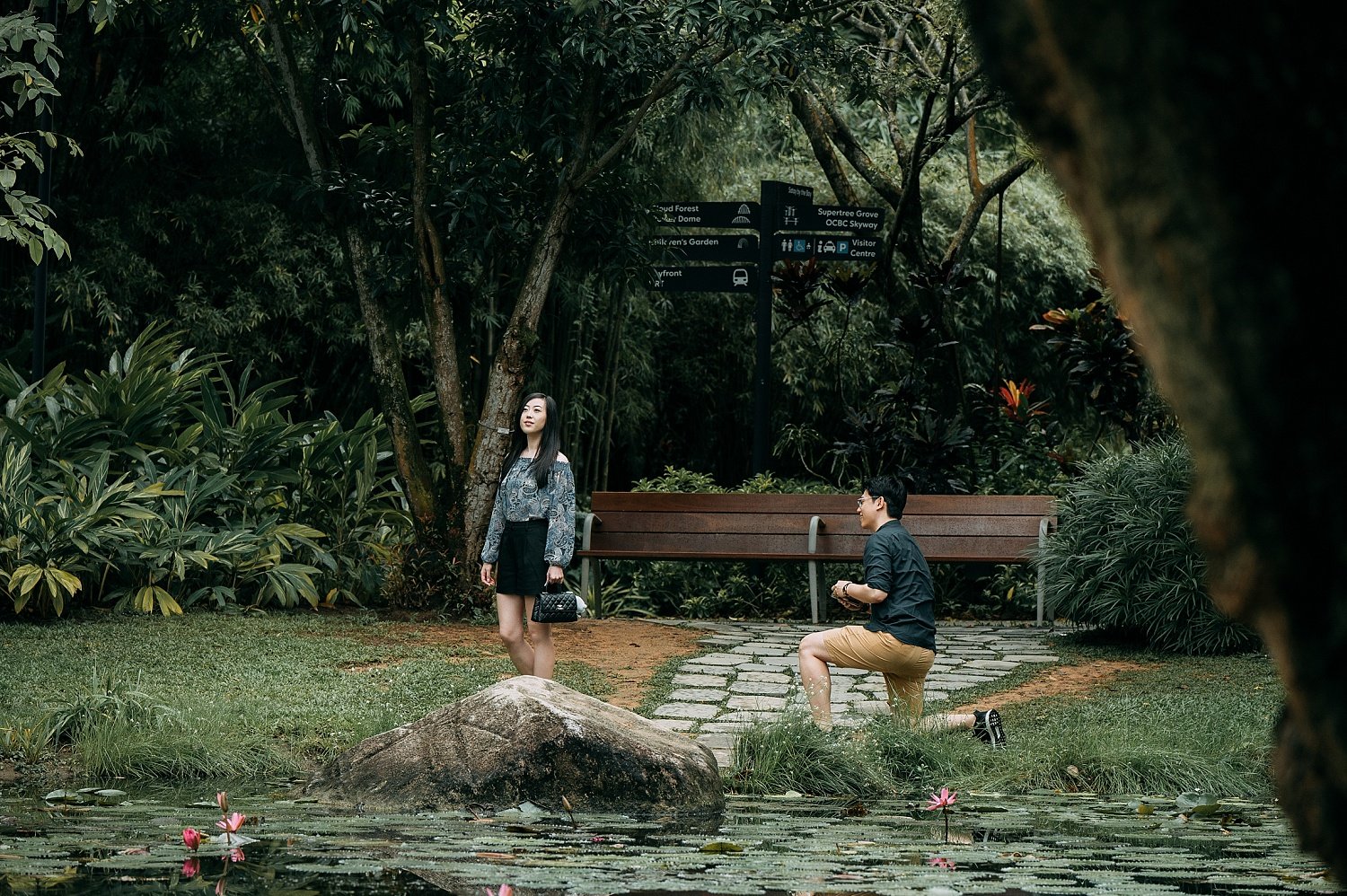 Proposal in Gardens by the Bay Singapore