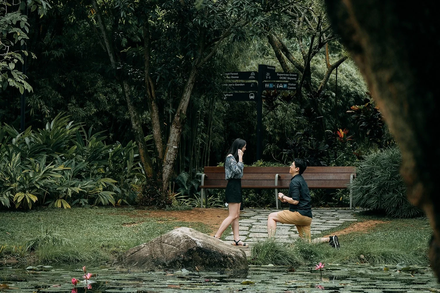Proposal in Gardens by the Bay Singapore