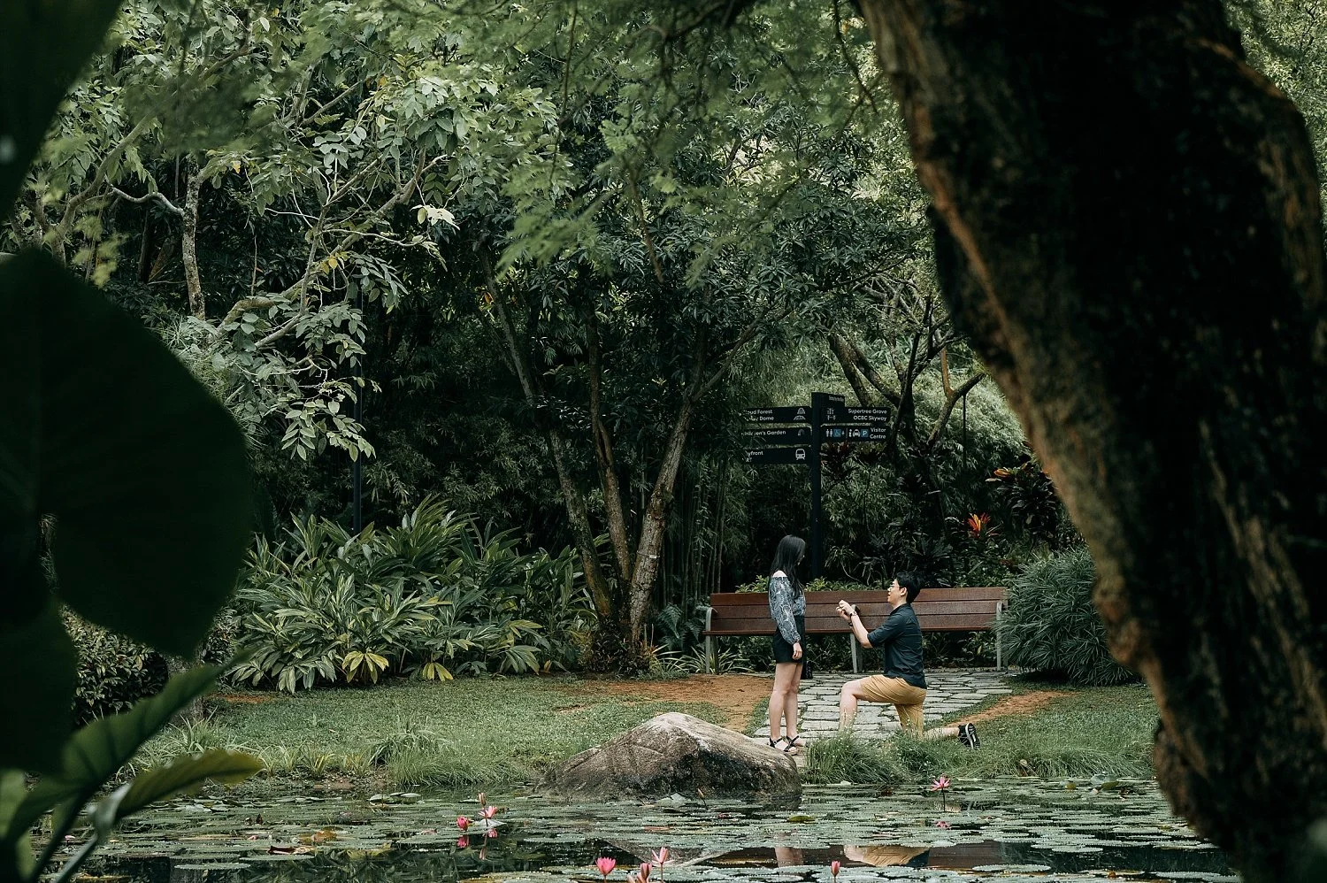 Proposal in Gardens by the Bay Singapore