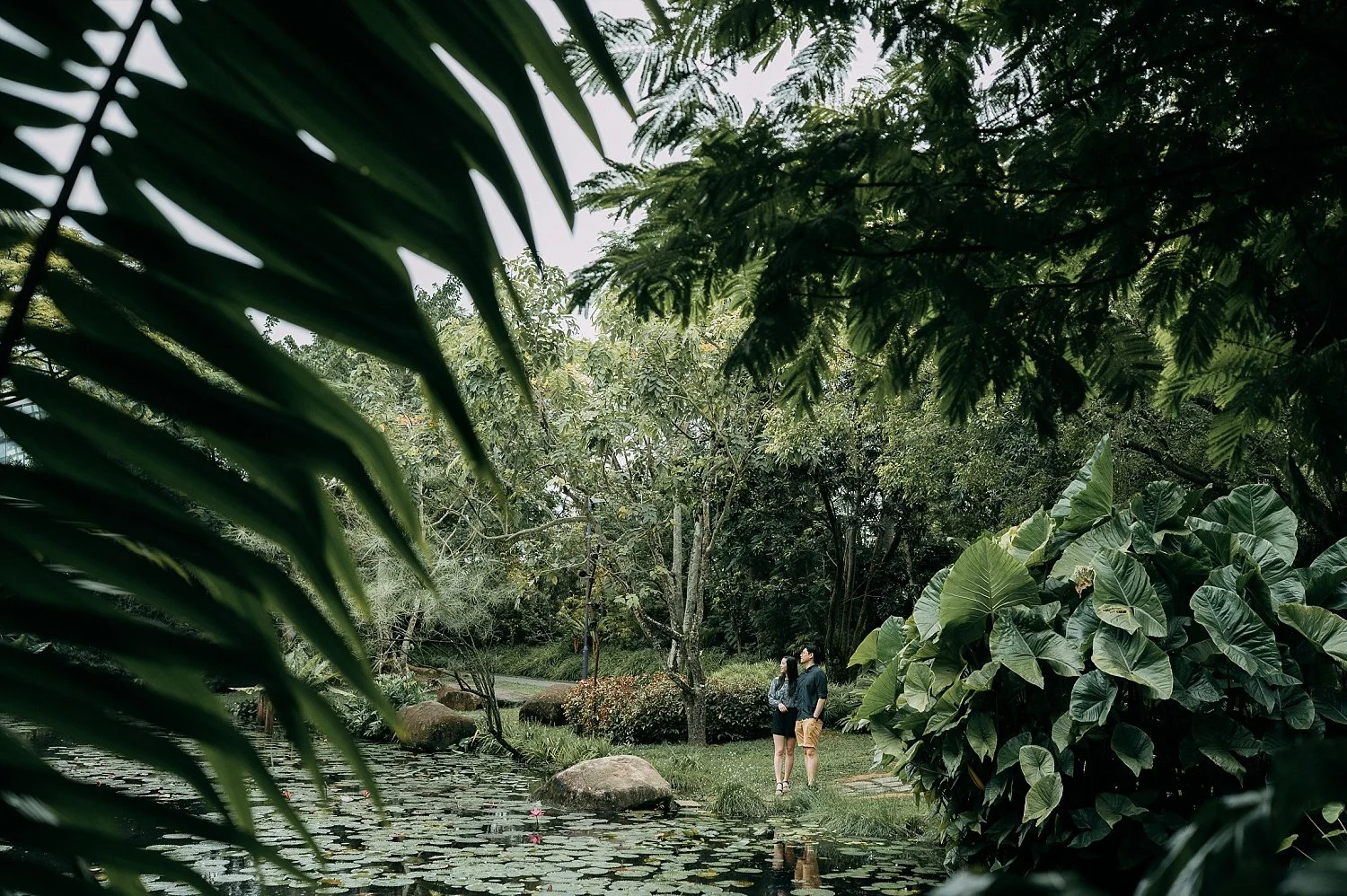 Surprised Proposal Gardens by the Bay, Lily Pond