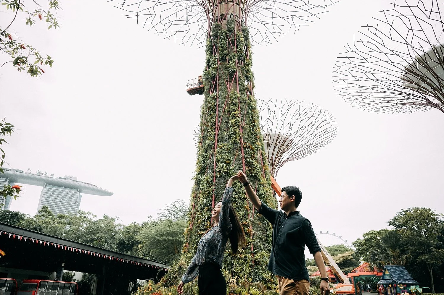 Photoshoot at Gardens by the Bay, Super Tree