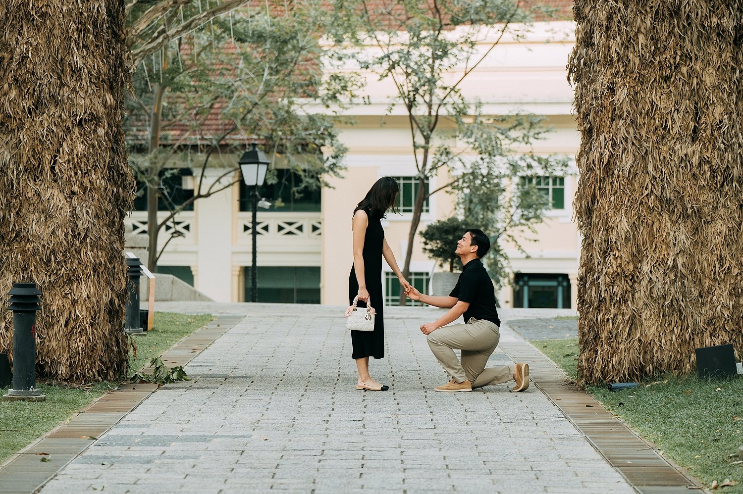 Fort Canning Park surprise proposal
