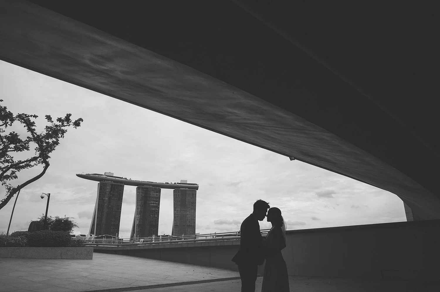 The Outdoor Portraits