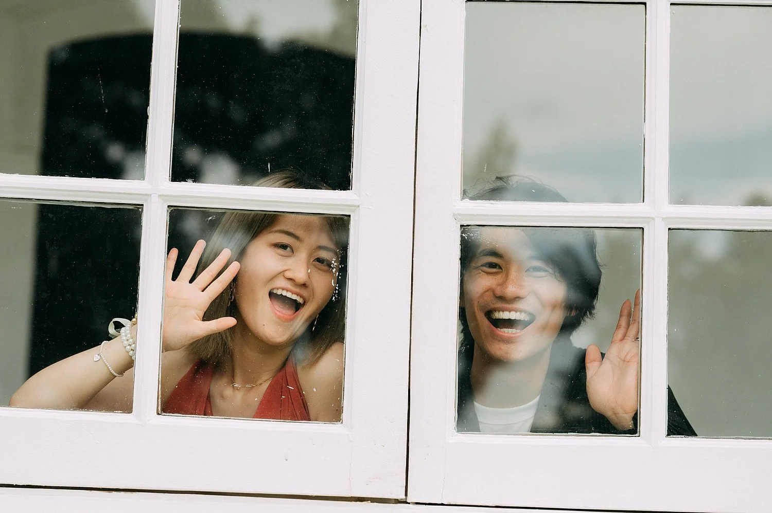 Botanic Gardens Gallop Extension