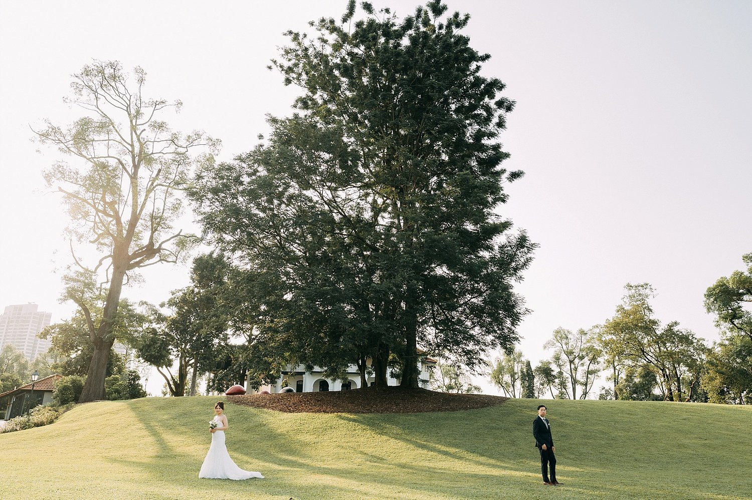 botanic-gardens-gallop-extension-wedding