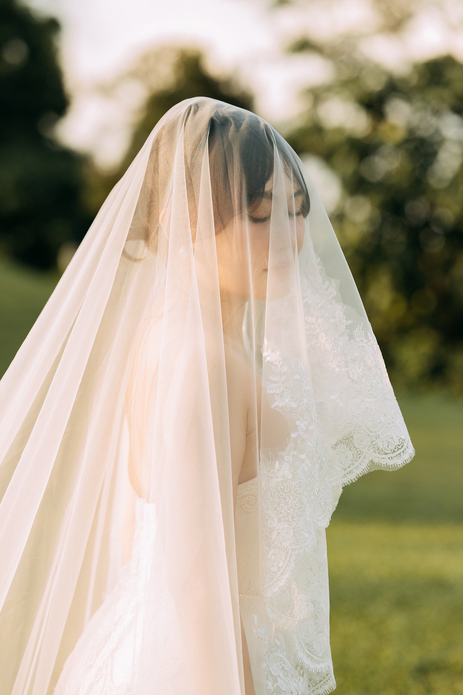 botanic-gardens-gallop-extension-wedding