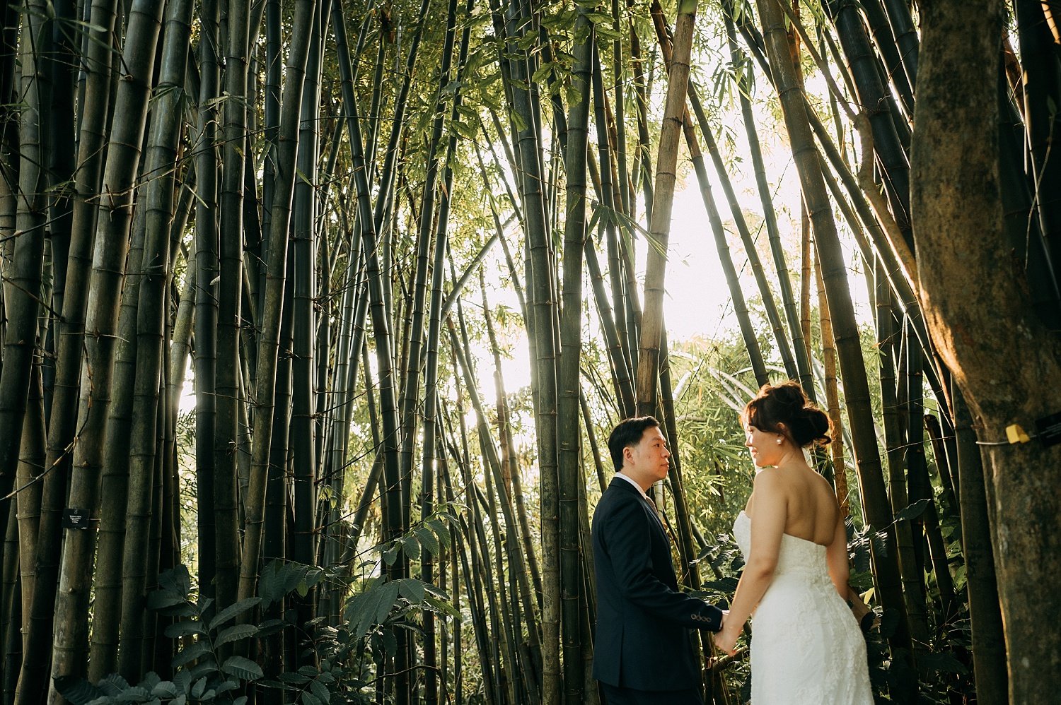 botanic-gardens-gallop-extension-wedding