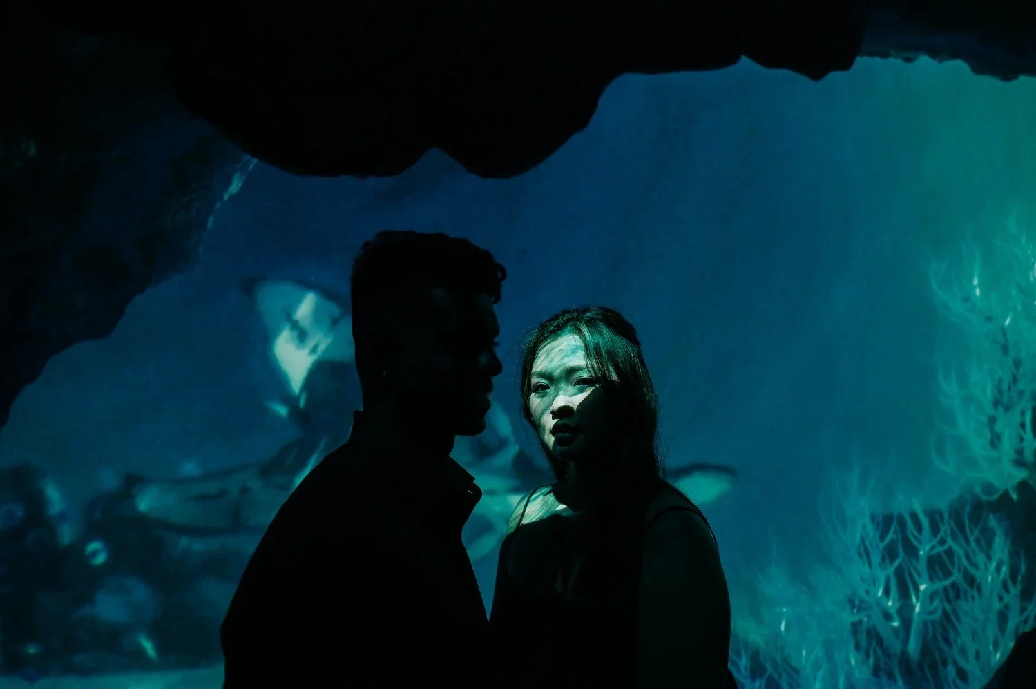 Prewedding Cloud Forest