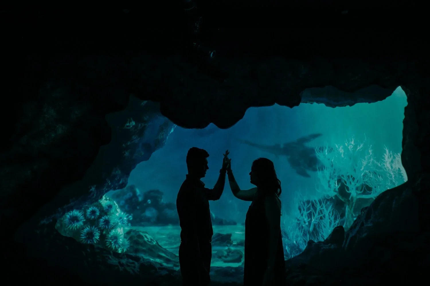 Prewedding Cloud Forest