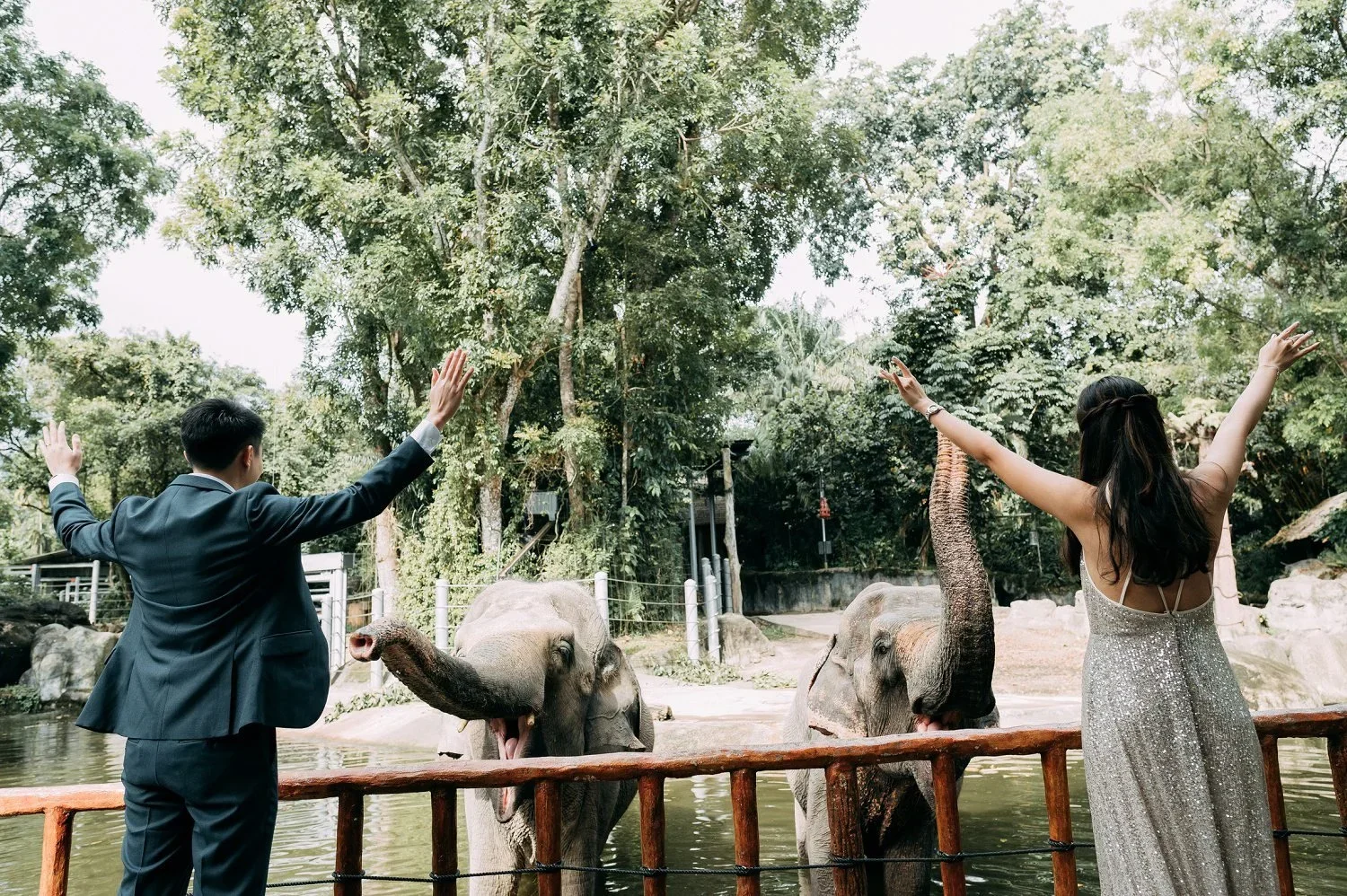 Waving to Elephants