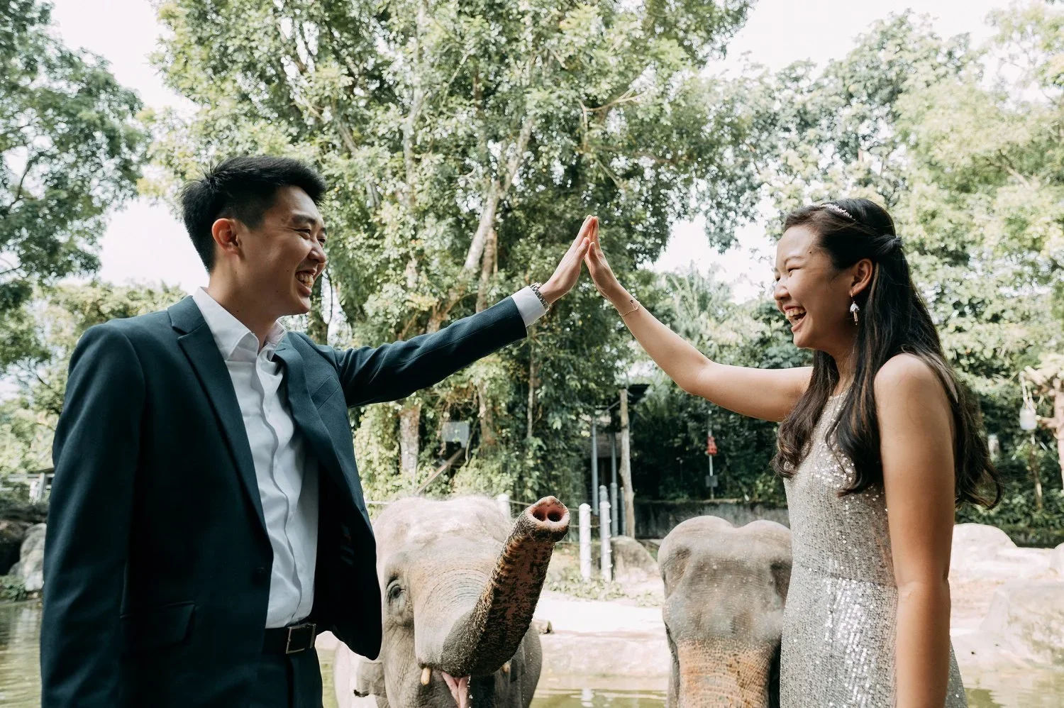 High-Five with Elephants at the background