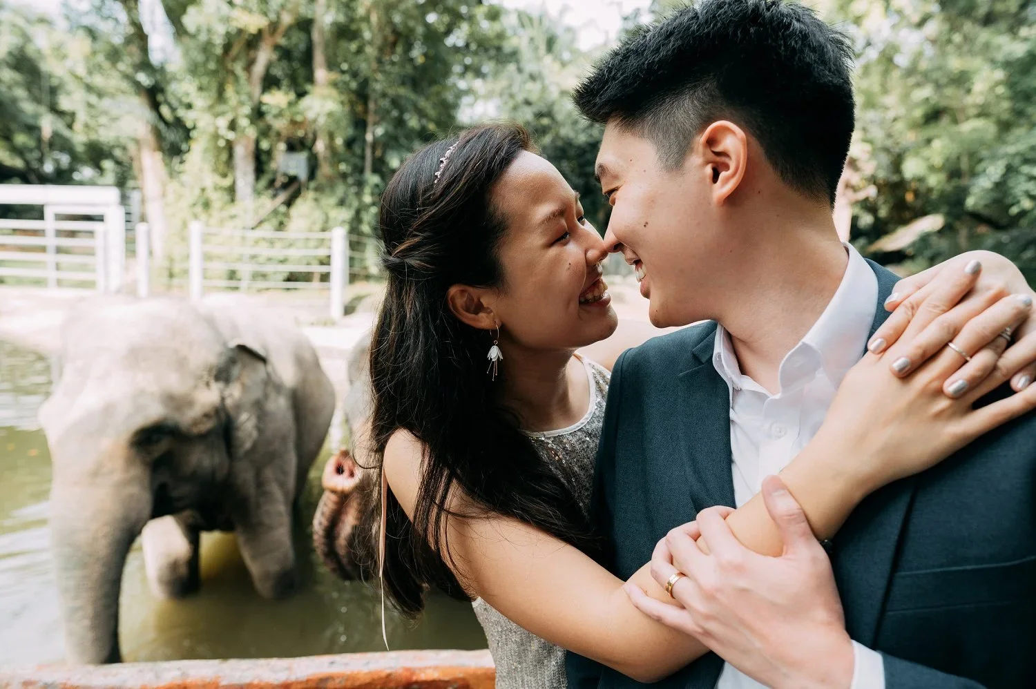 singapore-zoo-mandai-pre-wedding-005.webp