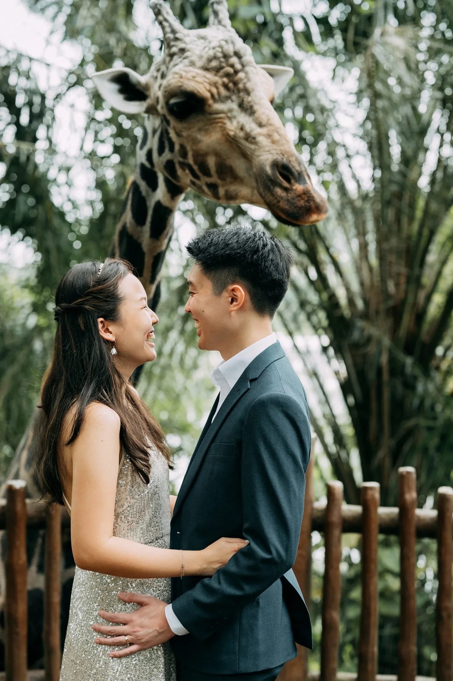 Pre-Wedding at Singapore Zoo (Mandai)