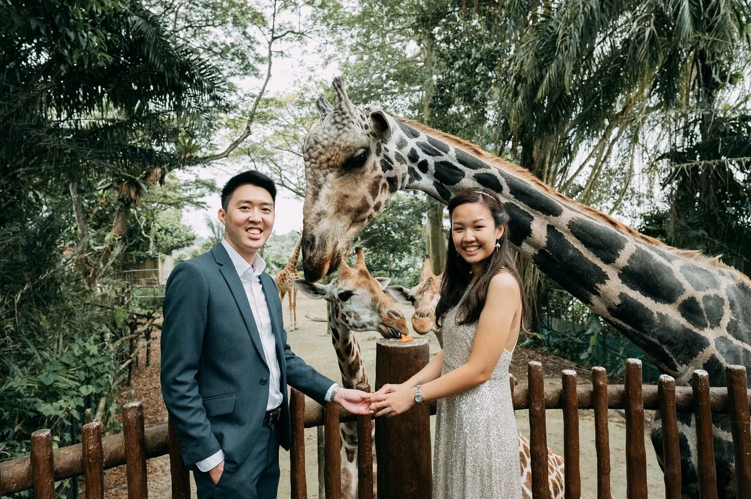 Pre-Wedding at Singapore Zoo (Mandai)
