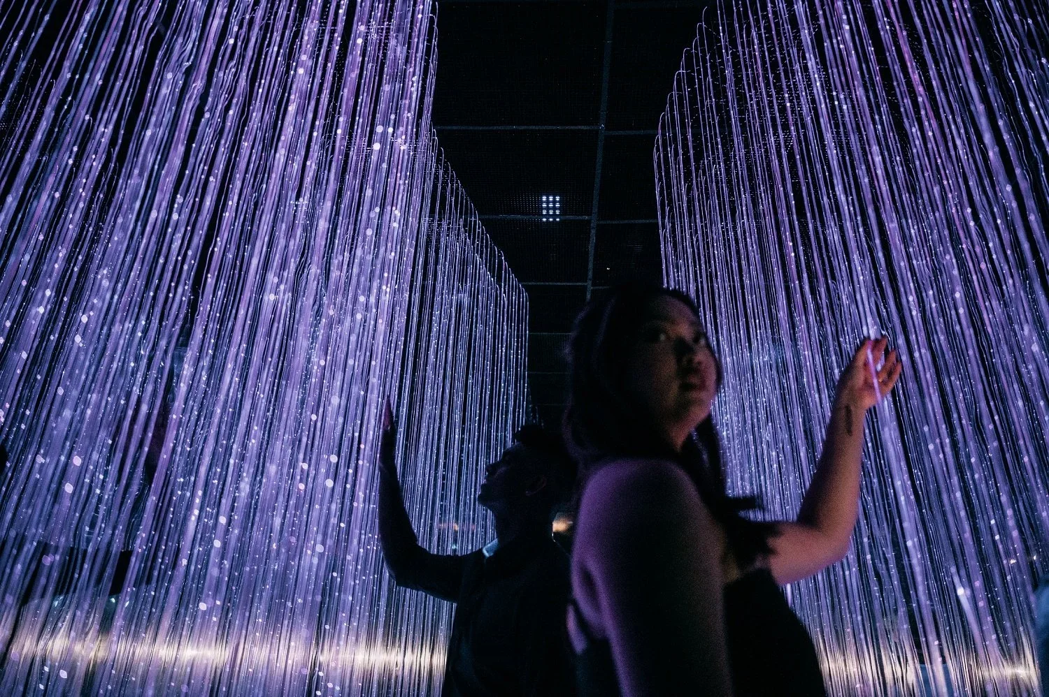 Nature Lovers: Cloud Forest &amp; Floral Fantasy Prewedding