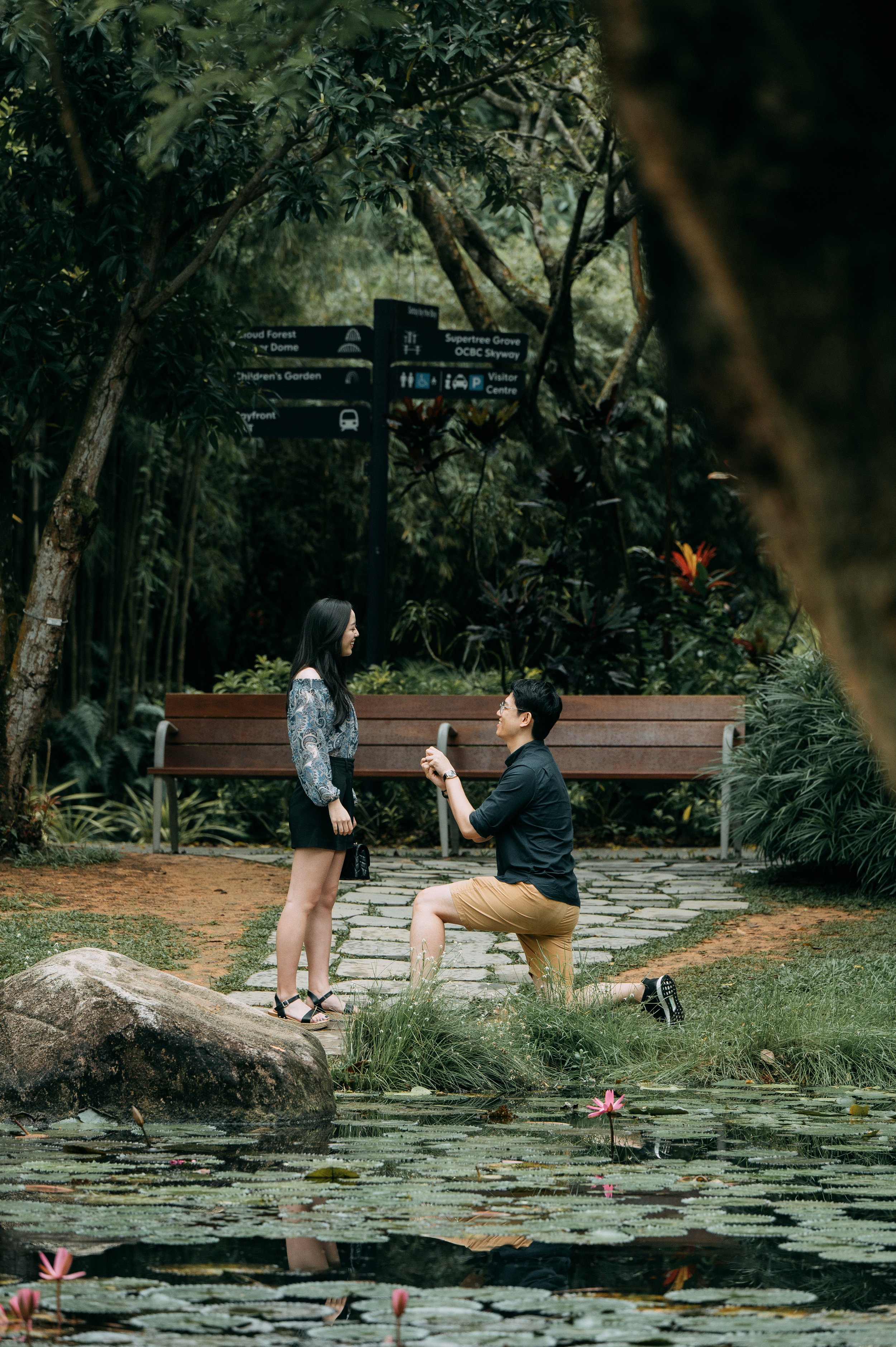 Proposal in progress by the gardens by the bay lily pond