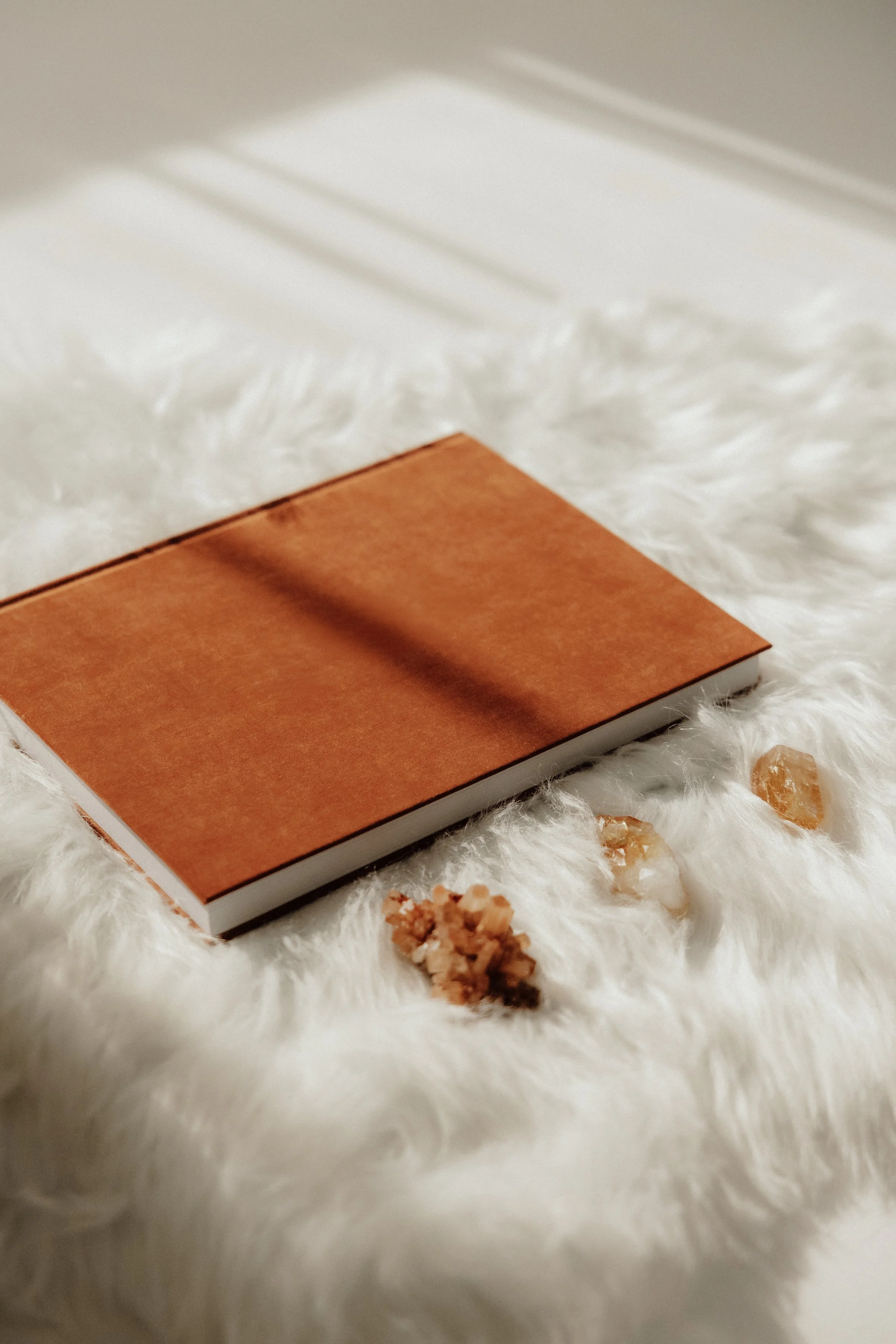 journal on bed