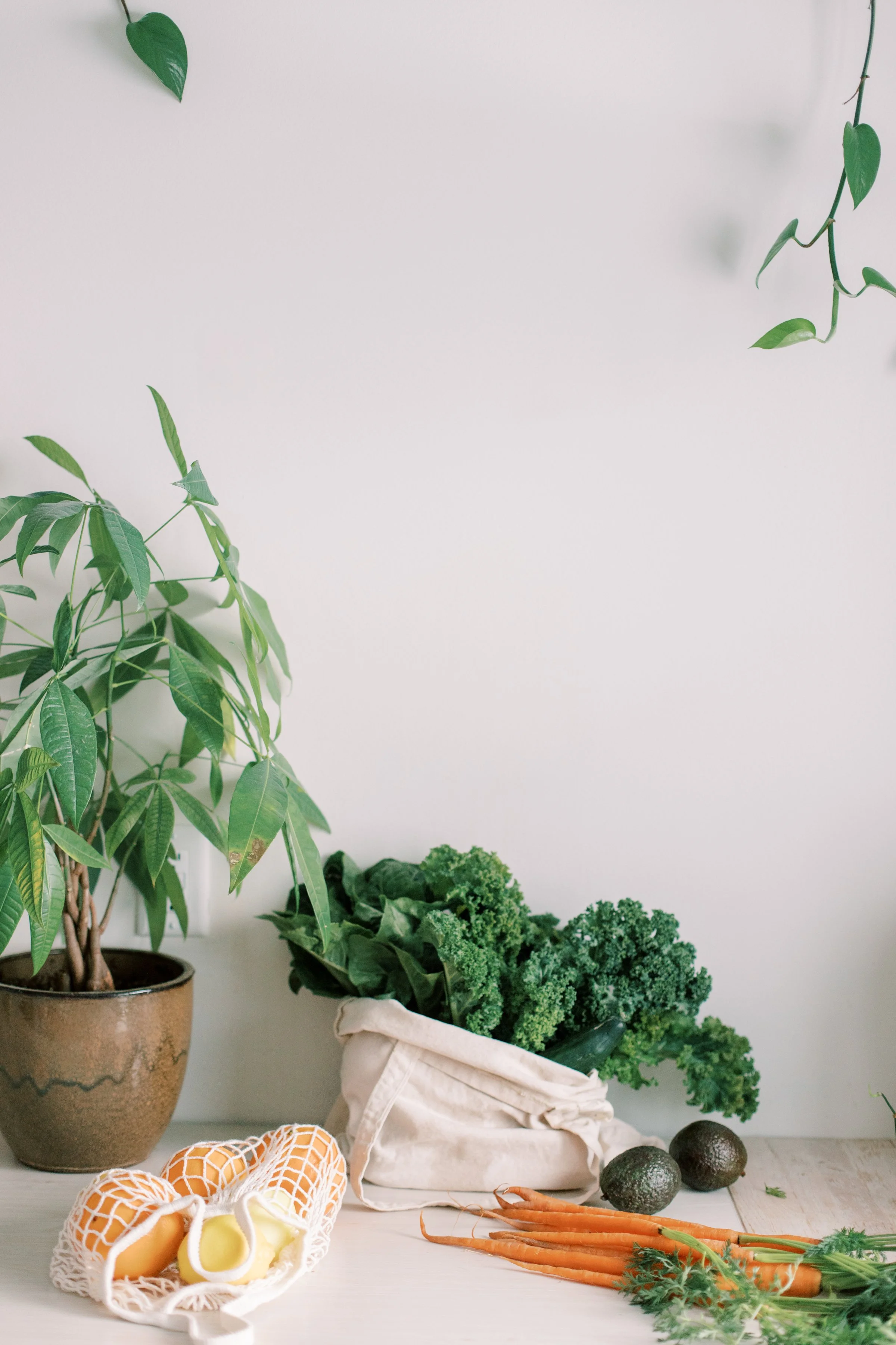 produce on counter with a plant